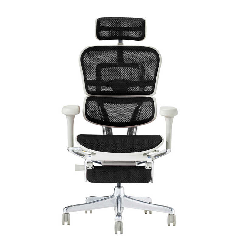 関家具　エルゴヒューマン Ergohuman 新基盤モデル エルゴヒューマン2 プロオットマン グレーフレーム EHP2-LPL-DR-GF-BK ブラック　445401