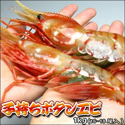 ぼたんえび 子持 ボタンエビ 1kg