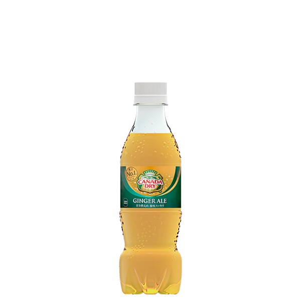 【2ケース】カナダドライ ジンジャーエール PET 350ml (24本入*2)