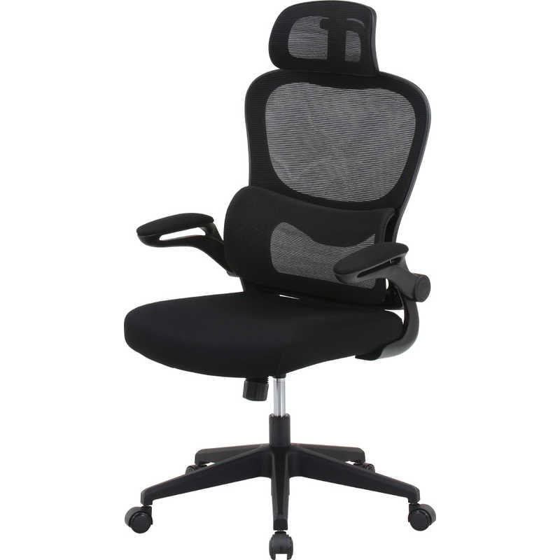 不二貿易　メッシュチェア ［W640xD630xH1110～1240mm］ ランバーサポート付き ルフト ブラック　91010