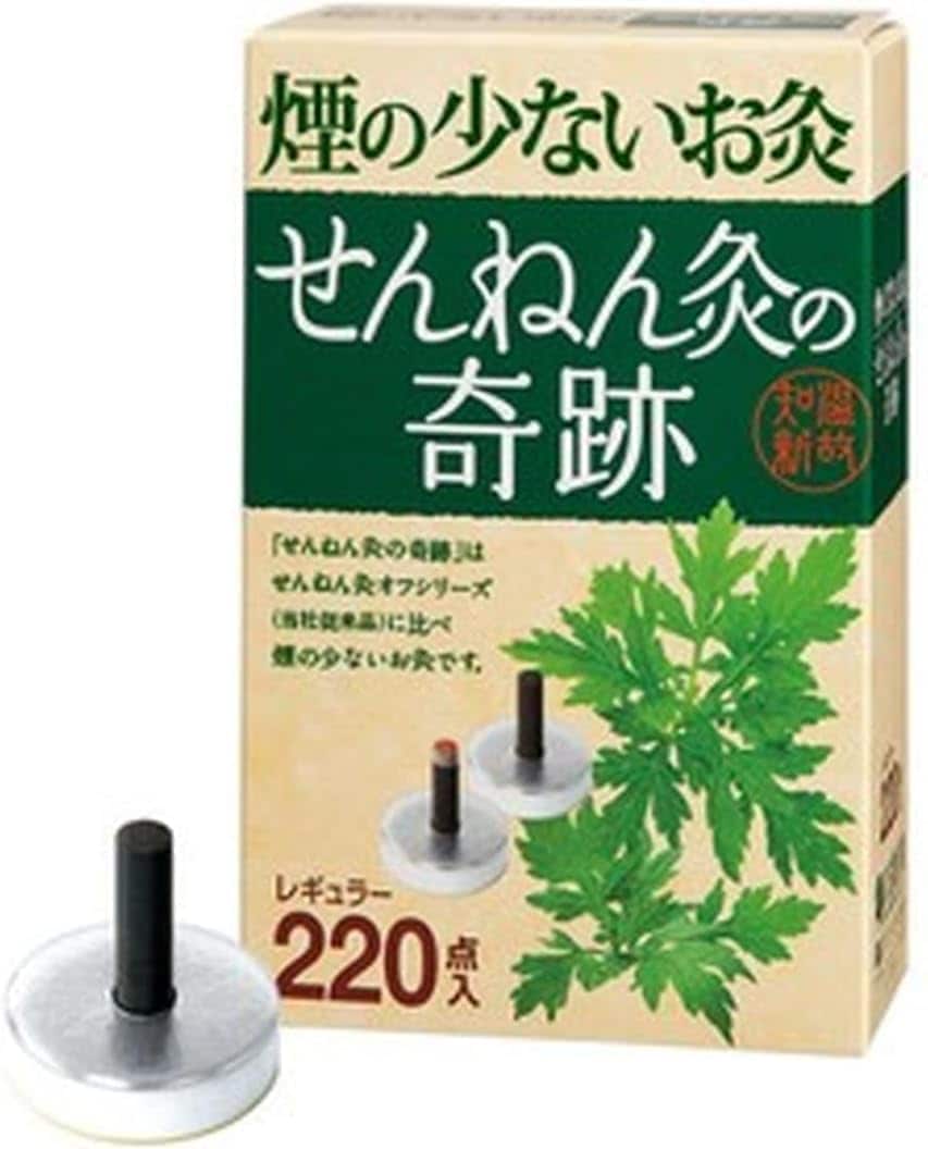 【2箱セット】煙の少ないお灸 せんねん灸の奇跡 レギュラー 220点入×2箱(計440点)