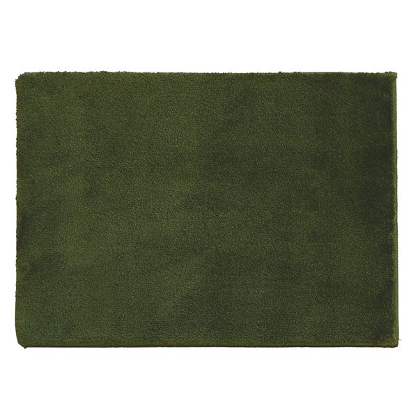 消臭・防炎 玄関マット (約50×80cm グリーン) ポリエステル100％ スミトロンサキソニー スミノエ (エントランス 入口)