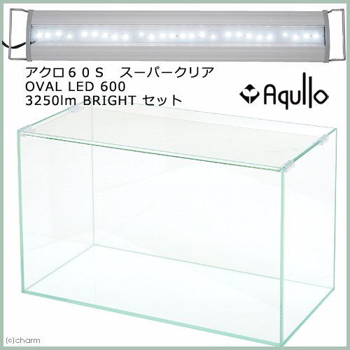 アクロ６０Ｓ　スーパークリア　ＯＶＡＬ　ＬＥＤ　６００　３２５０ｌｍ　ＢＲＩＧＨＴ　セット　お一人様１点限り　ＣＲＣ10―11―03―50―30