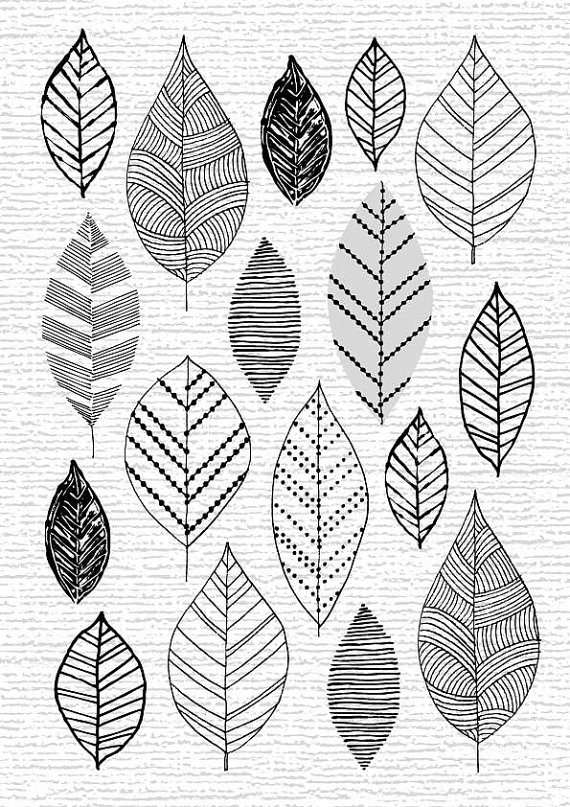 ELOISE RENOUF SO MANY LEAVES A3 5,478円