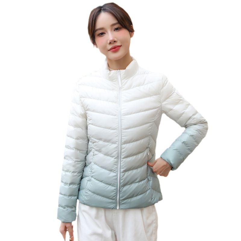 グラデーションでカジュアルカジュアルな冬のダウンジャケット 5,699円