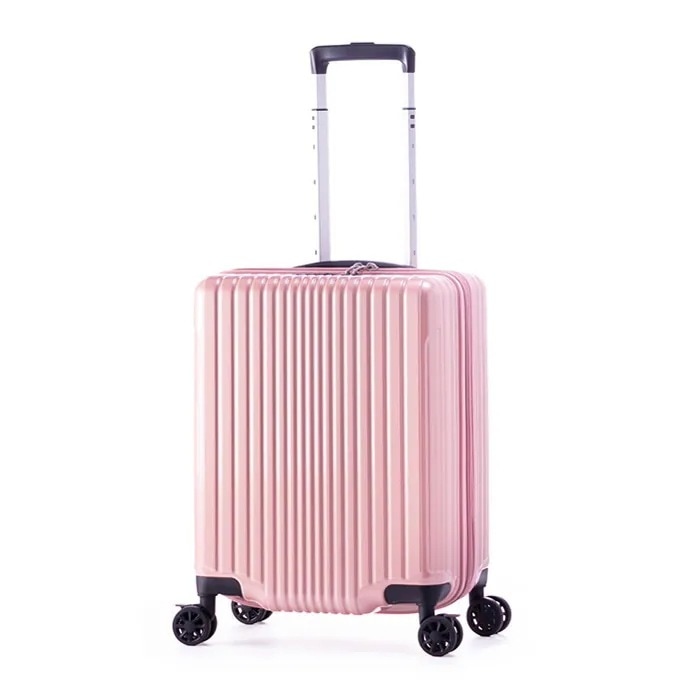 ハードキャリーケース FILPake フィルパケ 3～4泊 40L～48L ALI-6060-18W-ASCR アッシュコーラル