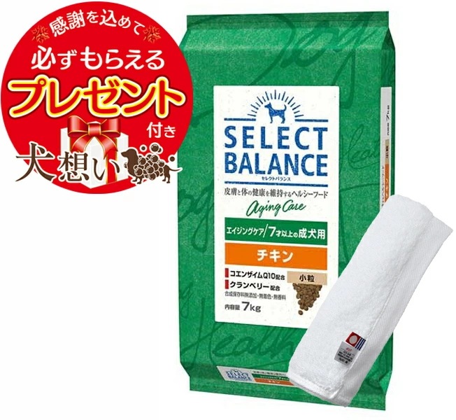 【プレゼント付】セレクトバランス エイジングケア チキン 小粒 ７才以上の成犬用 7kg【犬想いオリジナル今治ハンドタオルセット】【タオルカラー ホワイト】【正規品】
