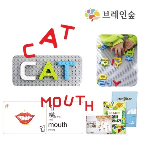 ブレインフォレストレタリングブロック英語300カードセット幼稚園児童家学院教授教区団体創造性