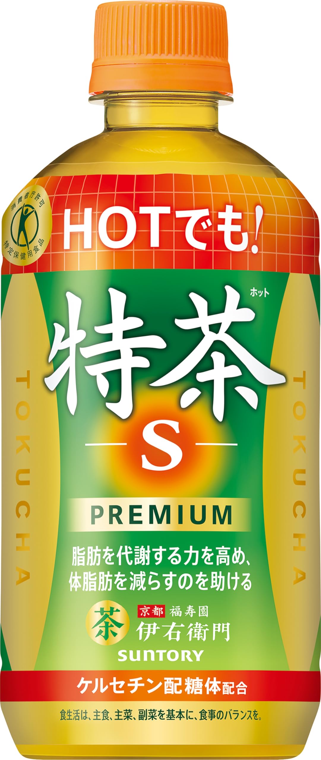 トクホ ホット 伊右衛門特茶 500ml×24本