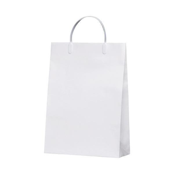 TANOSEE 不織布バッグ 大 ヨコ５３０×タテ４００×マチ幅１２０ｍｍ ブラック １パック（１０枚） 通販