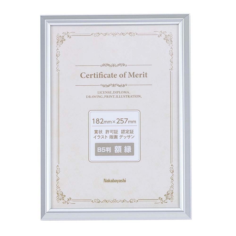 （まとめ買い）アルミ賞状額 B5判 シルバー F-SA-101-SV [x3]