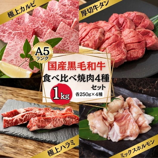 【A5】 国産黒毛和牛 食べ比べ 焼肉 4種セット 1kg (カルビ・ハラミ・タン・ホルモン 各部位250g) A5 焼肉 BBQ バーベキュー 国産 黒毛和牛 牛肉 宴会