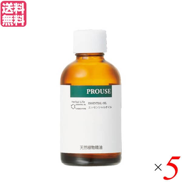 生活の木 サンダルウッドインド精油 白檀 50ml ５個セット 精油 オイル アロマオイル