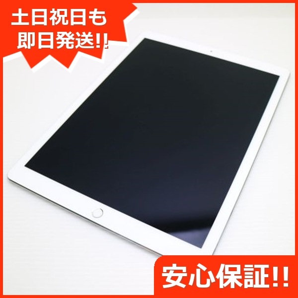 超美品 iPad Pro 第2世代 12.9インチ Wi-Fi 256GB シルバー 163