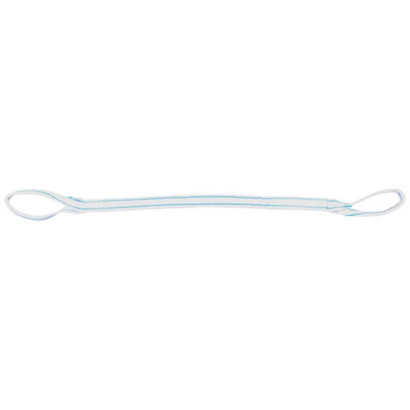 テザック　TESAC 耐化学薬品用スリング(JIS2等級両端アイ形)50mm幅×3.5m　PP2E50X3.5