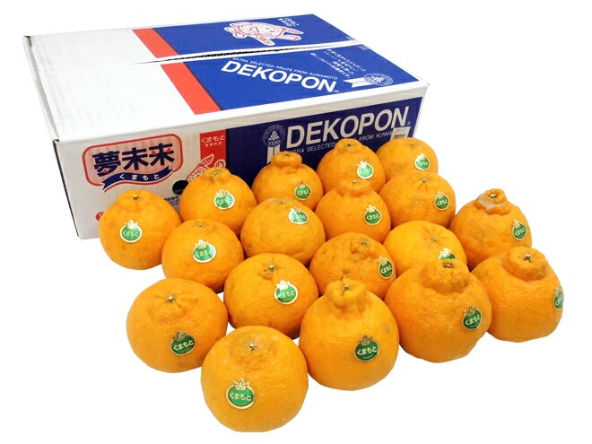 熊本産 =デコポン= 訳あり 15-24玉 約5kg 予約 1月以降