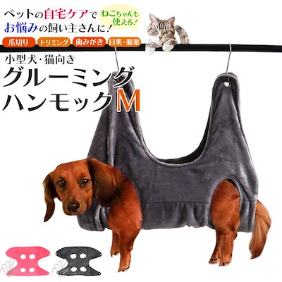 ペットの自宅ケアでお悩みの飼い主さんに！ 小型犬...のサムネイル