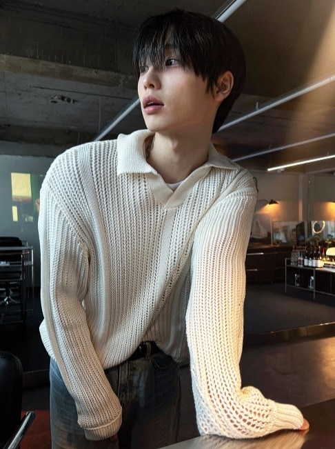 [COSYHARU公式] Open Collar Mesh Knit 6,761円