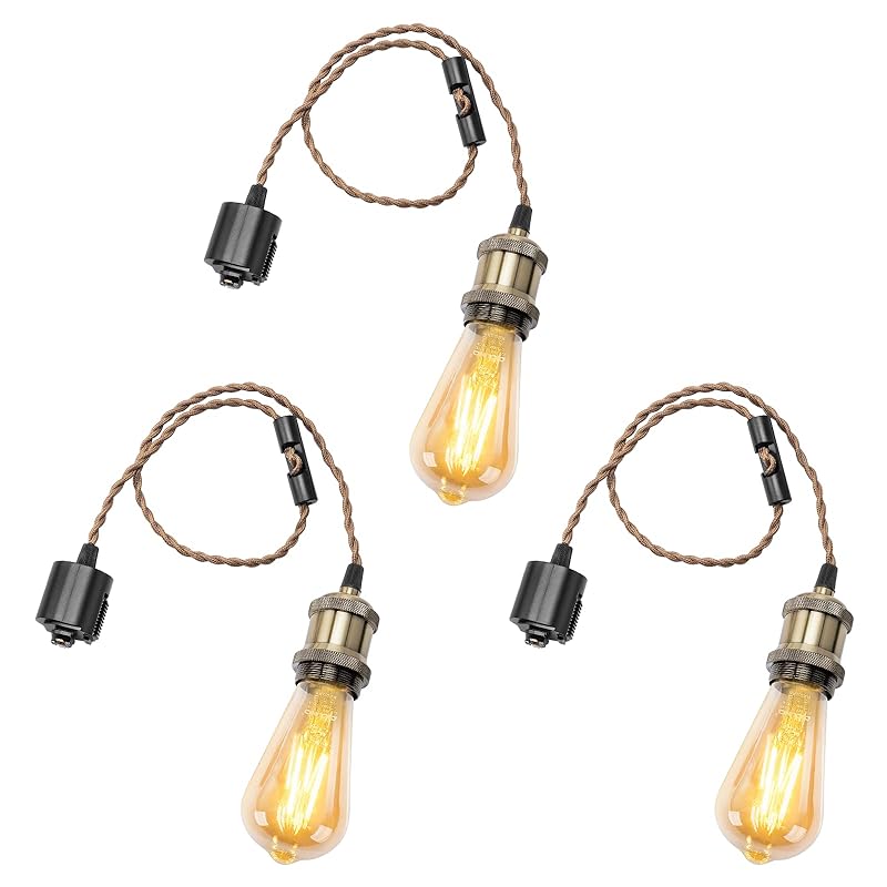 DiCUNO ペンダントライト E26口金 LED電球付き エジソン電球 ダクトレール用 １灯用ペンダントソケット シャンパンゴールド 電球ソケット 天井照明 吊り下げ コード付き 70cm調節可 レ