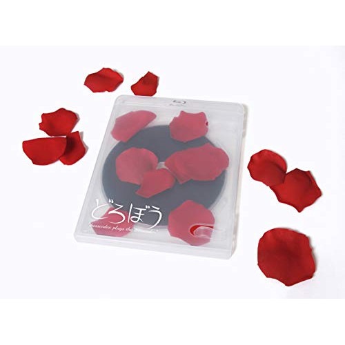 ドレスコーズ ／ どろぼう dresscodes plays the dresscodes(B.. (Blu-ray) KIXM-341 4,945円