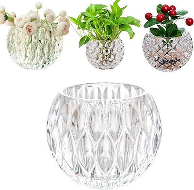 Qoo10] 丸型 ガラス 花瓶 ガラス花瓶 金魚鉢 : ガーデニング・DIY・工具