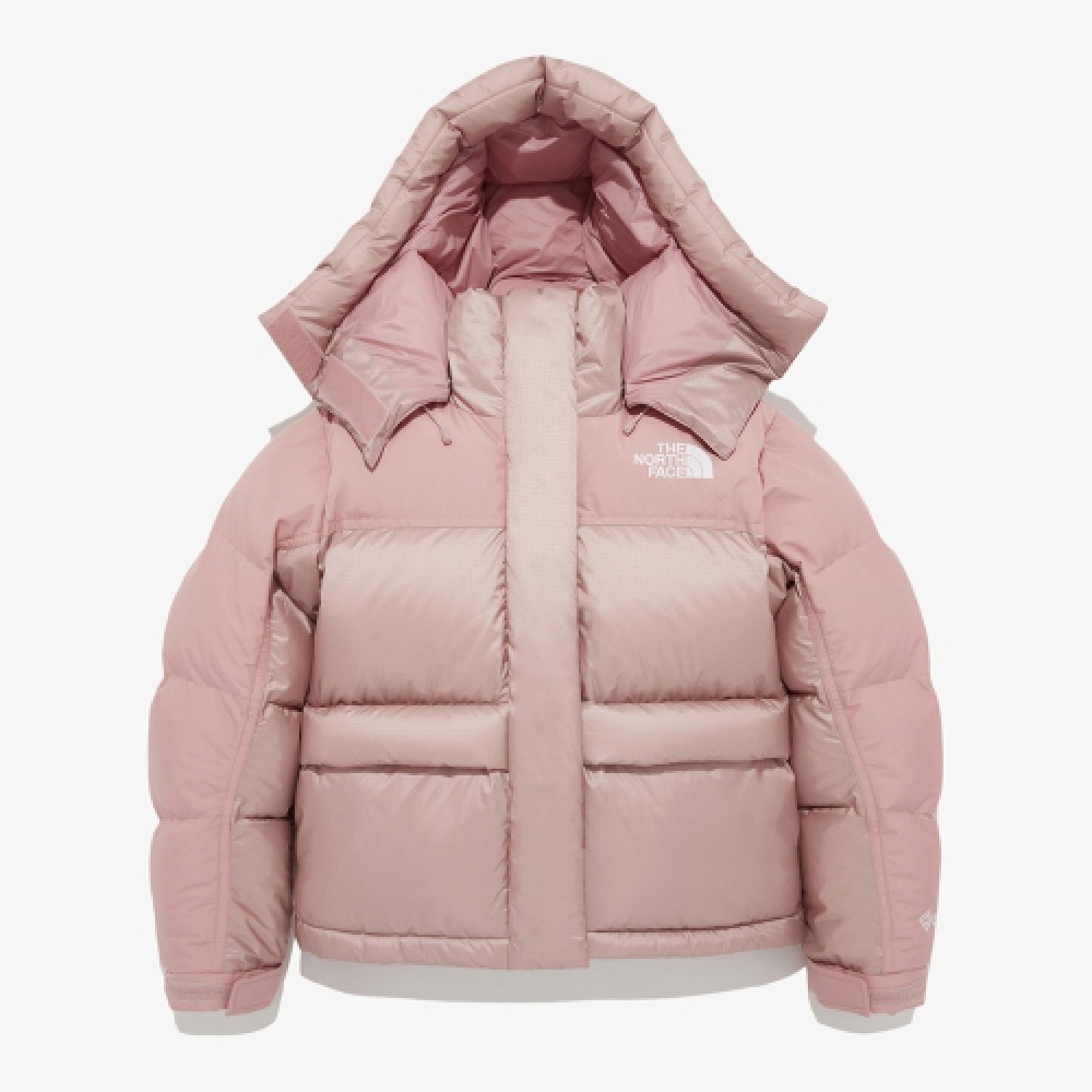 ザノースフェイス NJ1DQ83C レディース 1994 レトロパワーダウンジャケット (RDS ダウン) _グレイッシュピンク