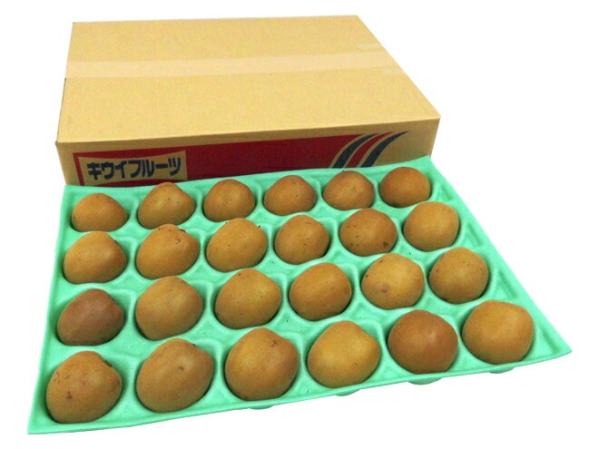 香川県 =さぬきゴールド= 最高等級「黄様」 M-Lサイズ 24-28玉前後 約3kg 予約 10月下旬以降