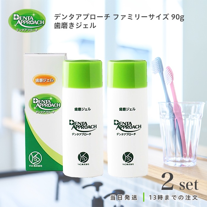 デンタアプローチ ファミリーサイズ 90g 2個セット 歯磨きジェル 口内環境改善 デンタルジェル ファミリー サイズ 歯磨き粉 歯周病予防 口臭 歯垢 ヤニ 清潔