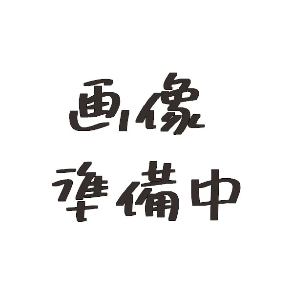 【1年保証付】ホリスティックキュア ドライヤー Rp. CCID-G04B ブラック ドライヤー 大風量 速乾 クレイツイオン 保湿 頭皮ケア 遠赤外線 テラヘルツ 育成光線 なめらか ツヤ