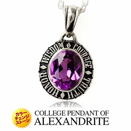 メール便なら送料無料！ pe1814 シルバーペンダント カレッジ メンズ ペンダントトップのみ 革