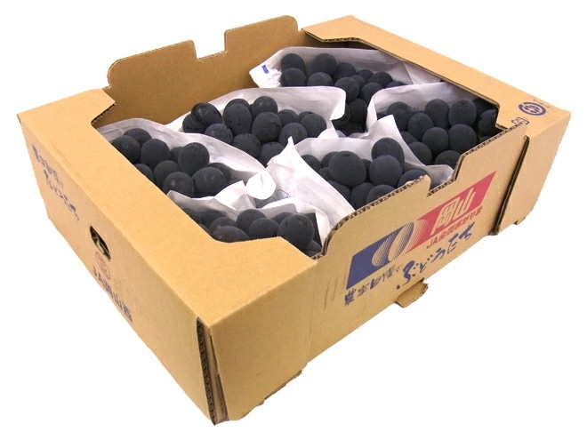 岡山産 =種なしニューピオーネ= 優品 超大房 5-6房 約5kg ぶどう 予約 9月以降