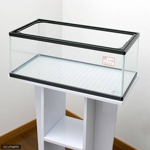 らんちゅう水槽　６００（５９９X２９５X２３０）６０ｃｍ水槽　金魚　亀　カメ（単体）　お一人様１点限り　ＣＲＣ10―11―02―50―00