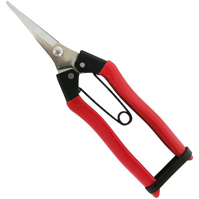 他サイト： 近与(KONYO) 永吉 ステン摘果鋏 185mmの商品画像