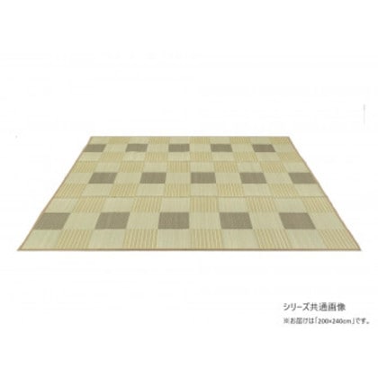 テスラ 茶染紋織 い草ラグ (裏貼加工) ベージュ 200x240cm TSN340955