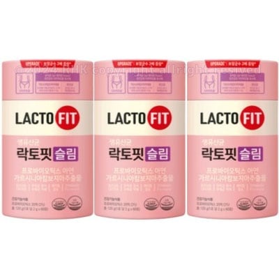 【スリム 60包X3ボックス】LACTOFIT 生乳酸菌 スリム ダイエット /韓国健康食品/鍾根堂健康/乳酸菌