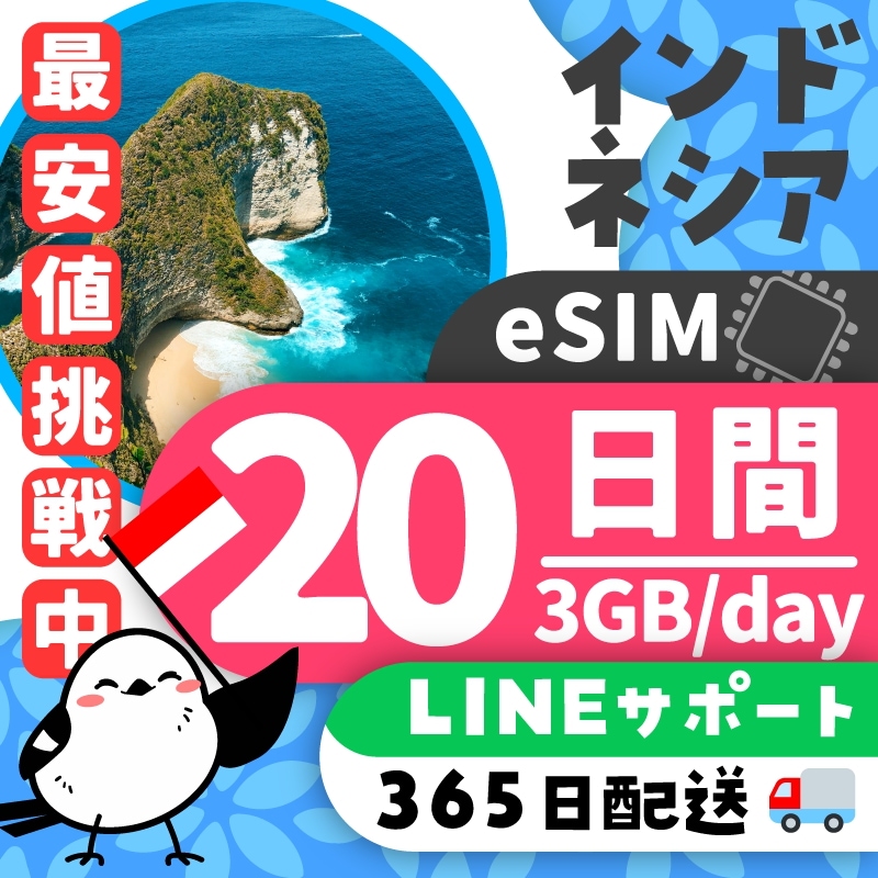 【インドネシアeSIM】簡単設定／使用日数：２０日間／データ容量：３GB（day）／有効期限90日／最短即日発行／パスポート番号不要／データ通信専用