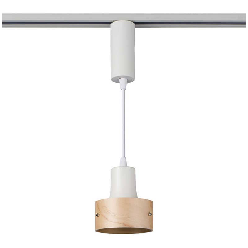 ELPA　ＬＥＤライティングバー用ライト　LRS-PW01D-IV