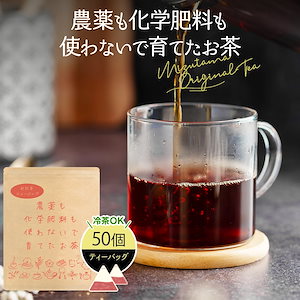 農薬も化学肥料も使わないで育てたお茶 和紅茶 ティーバッグ 2.5gｘ50p 静岡茶 国産 ティーパック 農薬不使用 無農薬 紅茶お茶 メール便