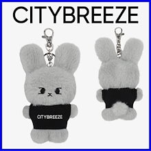 【NCTコラボ】CITYBREEZE CITY SNAPPY KEYRING 追跡付 AD6gj9.png