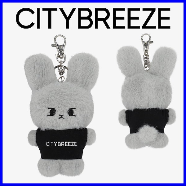 NCT ドヨン CITY BREEZE ドヨン キーリング 新品未開封 即日発送 Qoo10] CITY BREEZE 【CITYBREEZE x NCT】 C
