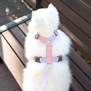 ペット用品小型犬用散歩ロープ犬チェーン犬リード犬首輪セット牽引ロープ