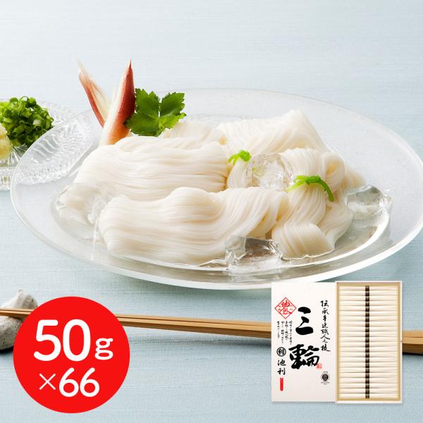 奈良 池利 三輪素麺 50gx66 そうめん SISK