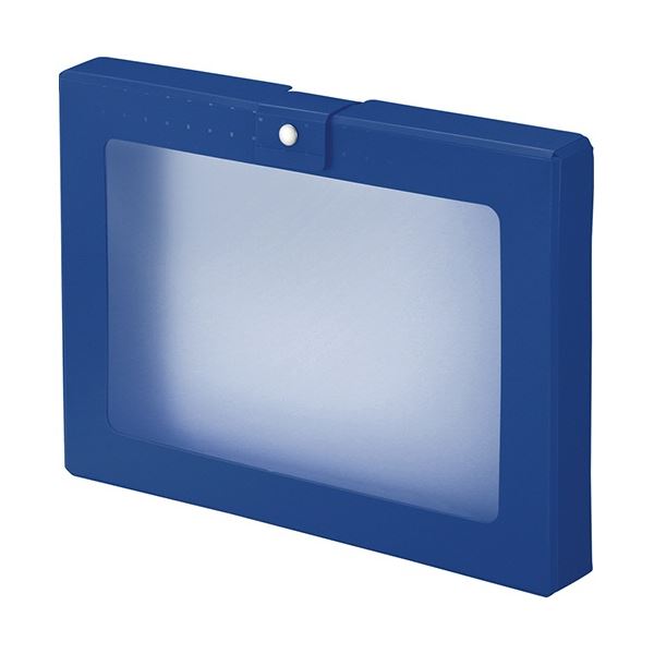 (まとめ) リヒトラブ CUBE FIZZ ハンドケース A4 ネイビー A-699-11 1個 (×5セット)