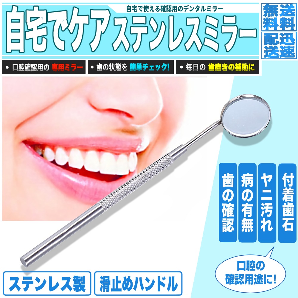充実の品 自宅でチェック ペットにも 猫 犬 歯科 歯鏡 ヤニ取り 歯石取り 虫歯確認 デンタルミラー その他 Www Crispie Co Uk