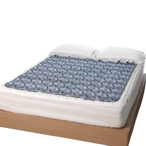 2人用[24年型 電磁波 安心] 韓日医療器 国産 フリーボルト 110v 220v 兼用 ウォッシャブル 節電型 安心 電気布団 海外用 出張用