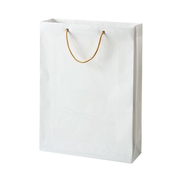 （まとめ） TANOSEE ビニールカバー付手提げ袋 L ヨコ380タテ510マチ幅120mm 白無地 1パック（10枚） 2セット