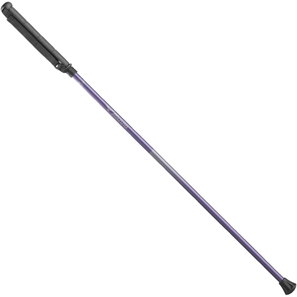 MIZUNO ミズノ マイティポール ショートタイプ 2本1組 ユニセックス ウォーキング ウォーキングポール メンズ C3JTP34069