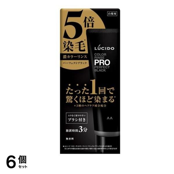 LUCIDO ルシード カラーリンスPRO パーフェクトブラック 120g 6個セット