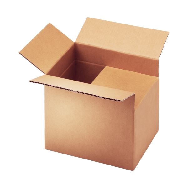 （まとめ）TANOSEE 無地ダンボール箱 A4（SS）サイズ 高さ調整タイプ 1パック（10枚） (×5セット) 8,814円