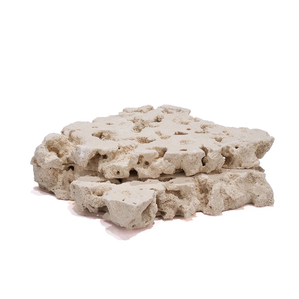 マルコロック　スライス　Ｍ　２枚　サンゴ　石　海水　水槽　飾り　レイアウト　ＣＲＣ21―20―90―00―00